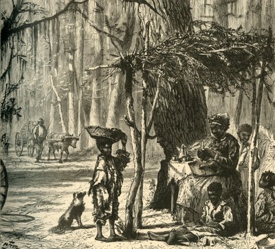查尔斯顿附近的路边风景》，1872年。   作者 阿尔伯特·鲍贝特