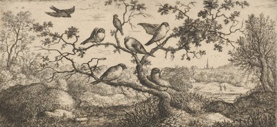 Ficedula, Piuoyne The Bullfinch：Livre d