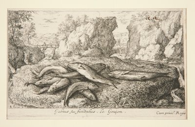 Gabius siue fundulus.Le Goujon 作者 阿尔伯特·弗拉芒（Albert Flemish）
