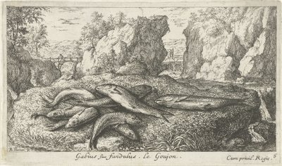 河岸上的虾虎鱼
Gabius siue fundulus.Le Goujon。(物体上的标题）
鱼类和其他海洋动物 - 淡水第二辑（系列名称）
淡水鱼第二辑（系列名称） 作者 雅克·范梅伦