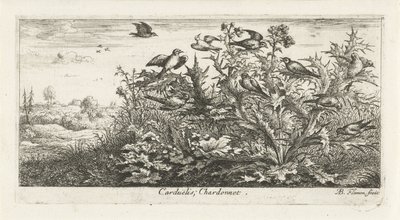 蓟中金翅雀的风景
Carduëlis; Chardonnet.(物体上的标题）
鸟之书（系列名称）
Livre d