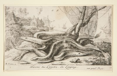 Muraena siue Lampetra.灯塔 作者 阿尔伯特·弗拉芒（Albert Flemish）
