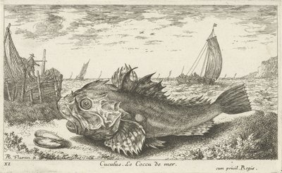 海滩上的潘鱼
Cuculus.Le Coccu de mer（物上标题）
鱼类和其他海洋动物--咸水第一辑（系列名称）
Diverses Especes de Poissons de mer（系列名称） 作者 雅克·范梅伦