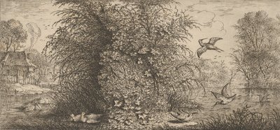 Rusticula minor, Beccassine The Snipe：Livre d