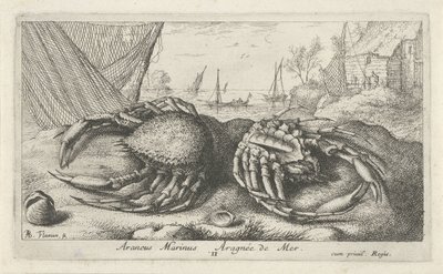 渔网旁的两只蜘蛛蟹
Araneus Marinus Aragnée de Mer（物体上的标题）
鱼类和其他海洋动物 - 海水第二辑（系列名称）
Poissons de mer（系列名称） 作者 阿尔伯特·弗拉芒（Albert Flemish）