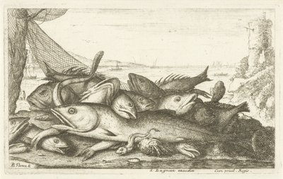 与寄居蟹一起钓鱼
Diverses Especes De Poissons tant de Mer, que d
