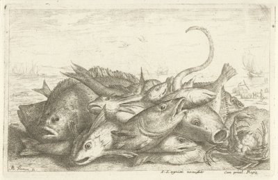 用螃蟹钓鱼
Diverses Especes De Poissons tant de Mer, que d