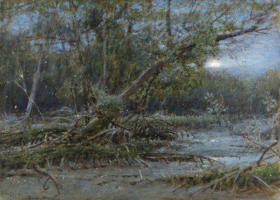 萤火虫，德梅拉（Demerera），c.1902年（带纸和人体彩绘） 作者 阿尔伯特·古德温
