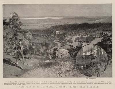 绵羊养殖在澳大利亚，巴拉瑞特附近的模型站 作者 Albert Henry Fullwood