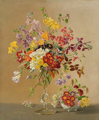 AW243 Freesias和Primroses 作者 阿尔伯特·威廉姆斯