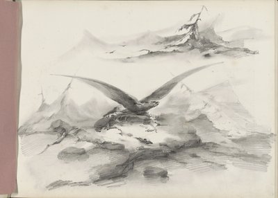 老鹰飞翔在山脉海岸上空 作者 阿尔贝图斯·范·比斯特