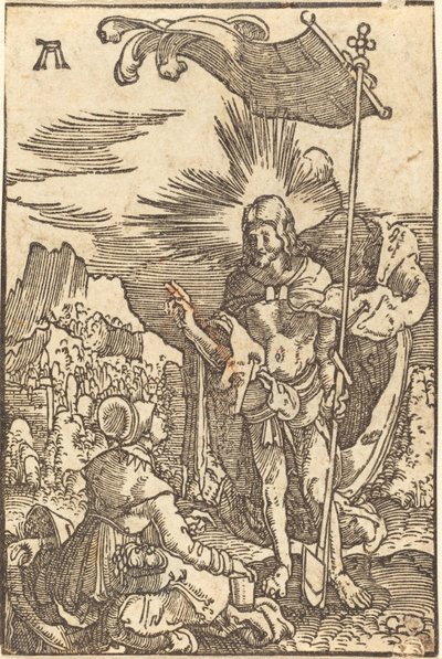 基督向圣抹大拉的人显现 作者 阿尔布雷希特·阿尔特多夫（Albrecht Altdorfer）