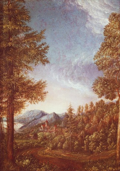 多瑙河风景与沃斯堡，约1522-25（羊皮纸上的山毛榉）。 作者 阿尔布雷希特·阿尔特多夫（Albrecht Altdorfer）