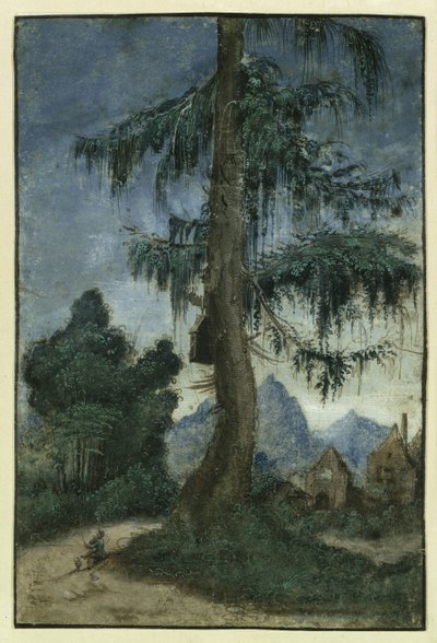 有云杉的风景，约1522年。 作者 阿尔布雷希特·阿尔特多夫（Albrecht Altdorfer）