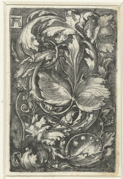 枝繁叶茂的藤蔓装饰 作者 阿尔布雷希特·阿尔特多夫（Albrecht Altdorfer）