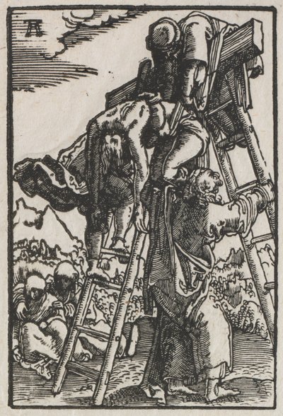 人的堕落与救赎：十字架的后裔c。 1515。 作者 阿尔布雷希特·阿尔特多夫（Albrecht Altdorfer）