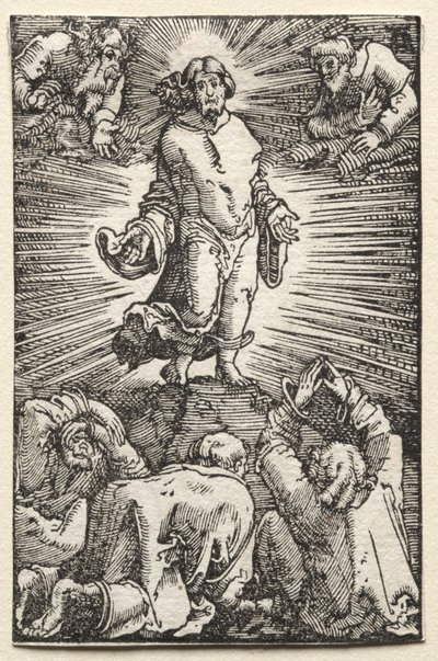 人的堕落与救赎：变形，c。 1515。 作者 阿尔布雷希特·阿尔特多夫（Albrecht Altdorfer）