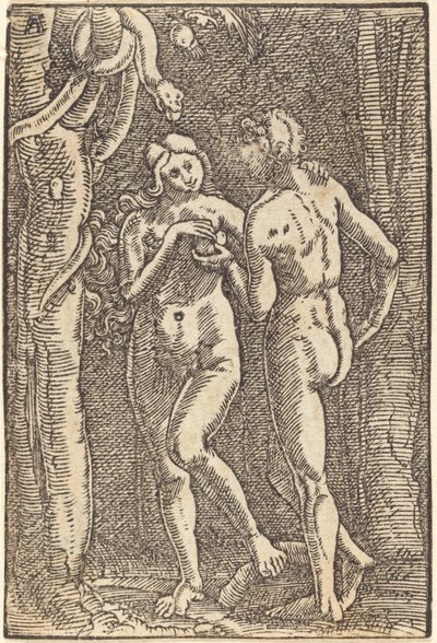 人类的堕落 作者 阿尔布雷希特·阿尔特多夫（Albrecht Altdorfer）