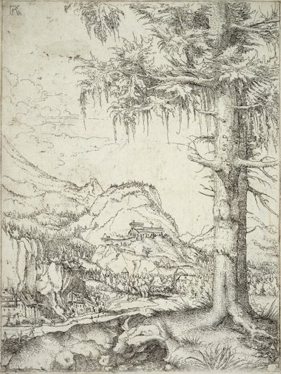 大云杉，1520 作者 阿尔布雷希特·阿尔特多夫（Albrecht Altdorfer）