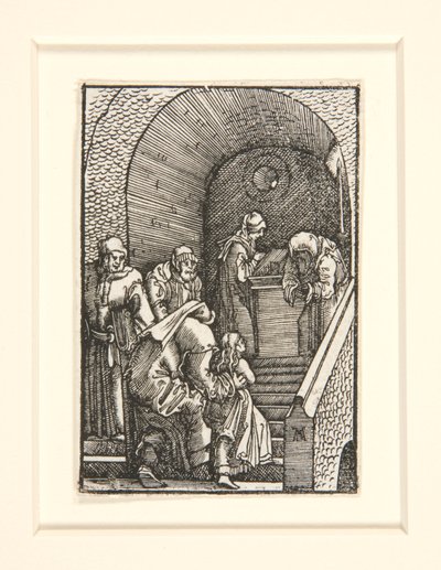 从人类的堕落和救赎看圣母进殿 作者 阿尔布雷希特·阿尔特多夫（Albrecht Altdorfer）