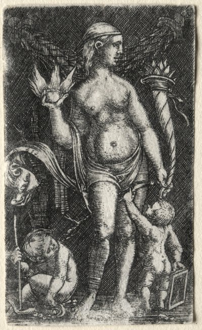 两个丘比特之间的金星，1520年。 作者 阿尔布雷希特·阿尔特多夫（Albrecht Altdorfer）
