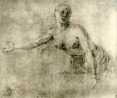一项研究，1913年 作者 阿尔布雷希特丢勒