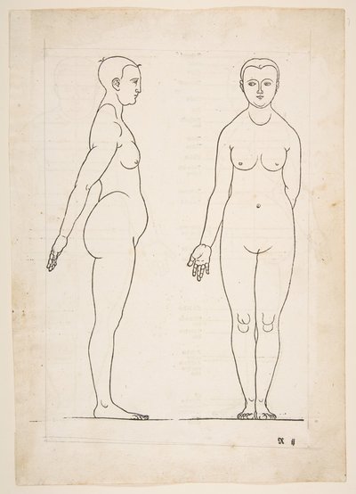 丢勒的《Vier Bucher von Menslicher Proportion》插图，纽伦堡，1528年，未注明。 作者 阿尔布雷希特丢勒
