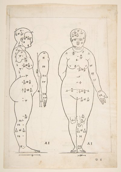 丢勒《Vier Bucher von Menslicher Proportion》中的插图，纽伦堡，1528年，未注明。 作者 阿尔布雷希特丢勒