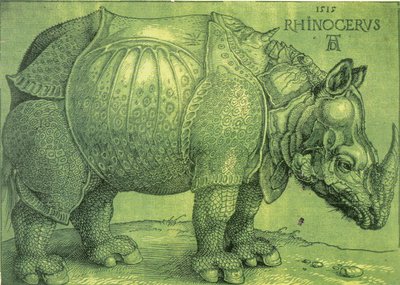 拉丁语  Rhinocerus 犀牛 作者 阿尔布雷希特丢勒