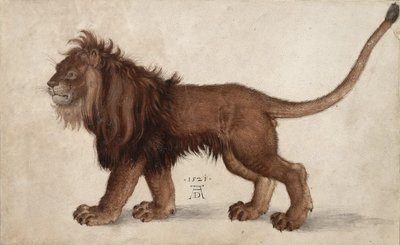 狮子，1521。 作者 阿尔布雷希特丢勒