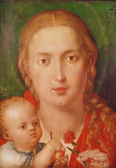 康乃馨的麦当娜，1516年 作者 Albrecht Dürer
