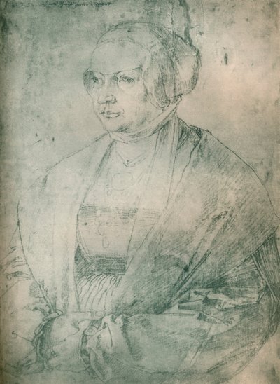 夫人的画像，c1500-1520，1903 作者 阿尔布雷希特丢勒