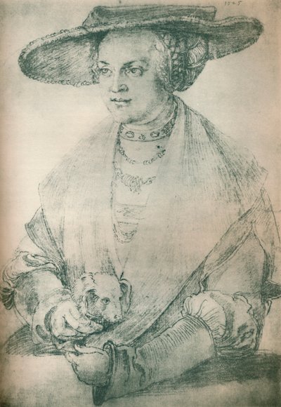 夫人的画像，c1500-1520，1903 作者 阿尔布雷希特丢勒