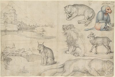 动物和风景素描》，1521年。 作者 阿尔布雷希特丢勒