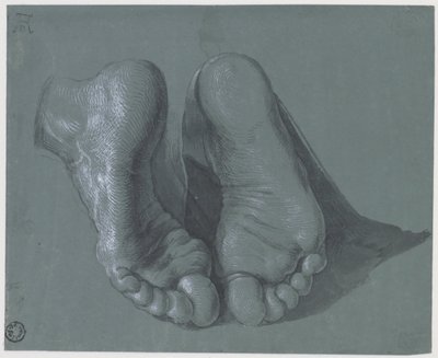 两脚研究，约1508年 作者 阿尔布雷希特丢勒