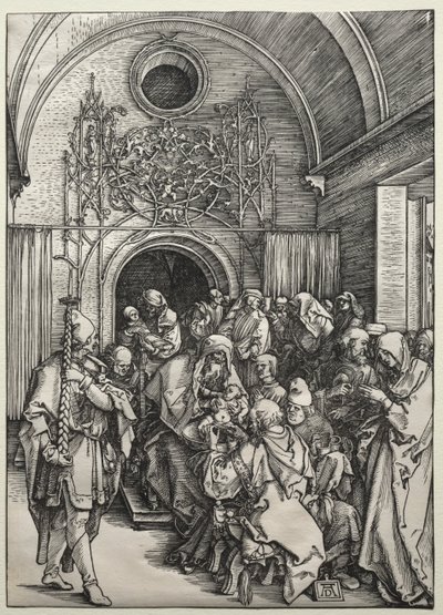 包皮环切术c。 1504-1505。 作者 阿尔布雷希特丢勒