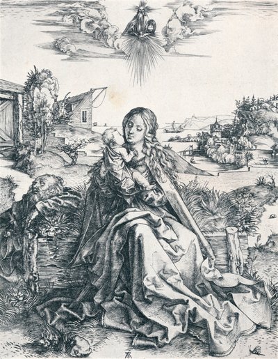 蜻蜓圣家族，1495年1906年 作者 阿尔布雷希特丢勒