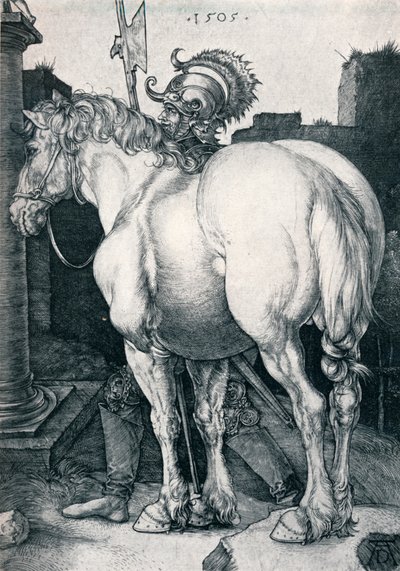 大马，1505年1906年 作者 阿尔布雷希特丢勒