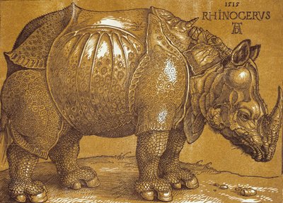犀牛》，1515年。 作者 阿尔布雷希特丢勒