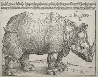 犀牛，1515年。 作者 阿尔布雷希特丢勒