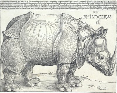 犀牛》，1515.，1515.。 作者 阿尔布雷希特丢勒