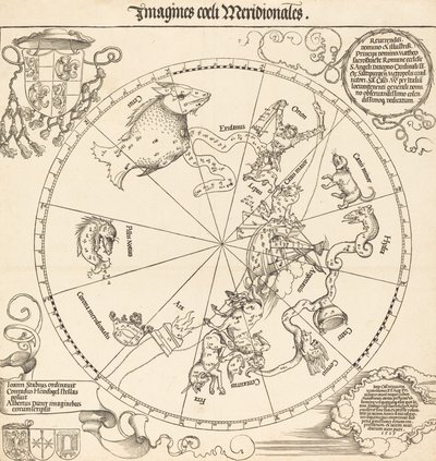 南天半球，1515年。 作者 阿尔布雷希特丢勒