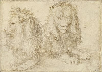 两座狮子，1521年 作者 阿尔布雷希特丢勒