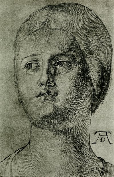威尼斯女人头 作者 Albrecht Dürer