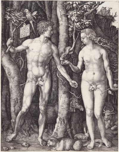亚当和夏娃，出版。1504年（雕版画 作者 阿尔布雷希特丢勒