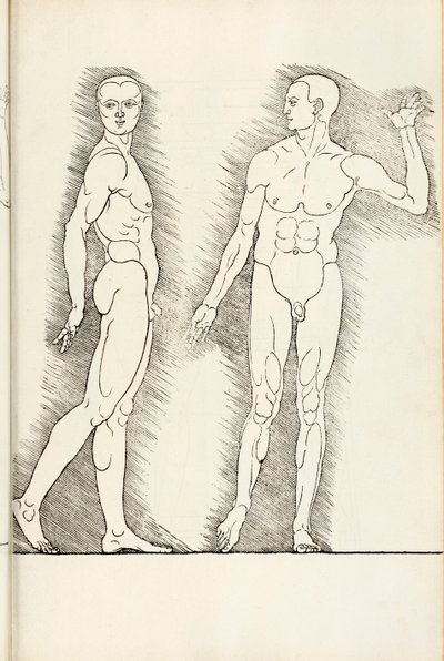 来自Hierinn的解剖木刻是人类比例的四本书，1528年 作者 阿尔布雷希特丢勒