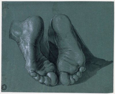 Etude de pieds - 两只脚的研究 - 阿尔布雷希特-杜勒（1471-1528 年）的素描，纸上水彩、白色、黑色粉笔，约 1508 年（17,6x21,6 厘米） - 鹿特丹博伊曼斯-范布宁根博物馆 作者 阿尔布雷希特丢勒