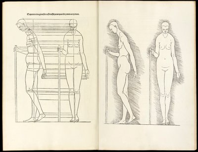 Hierinn是人类比例的四本书，1528 作者 阿尔布雷希特丢勒