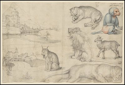 动物与风景草图，1521年 作者 阿尔布雷希特丢勒