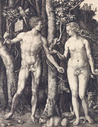 阿尔布雷希特-杜勒的《人的堕落》（The Fall of Man）。 作者 阿尔布雷希特丢勒